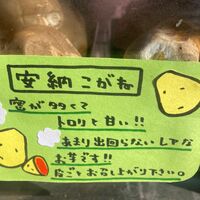画像1338：種子島の風景